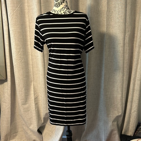 BCBG ladies Sz L short sleeve dress. - Picture 1 of 1